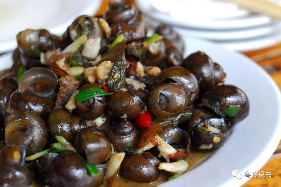 做一日识食广州人 做一日识食广州人