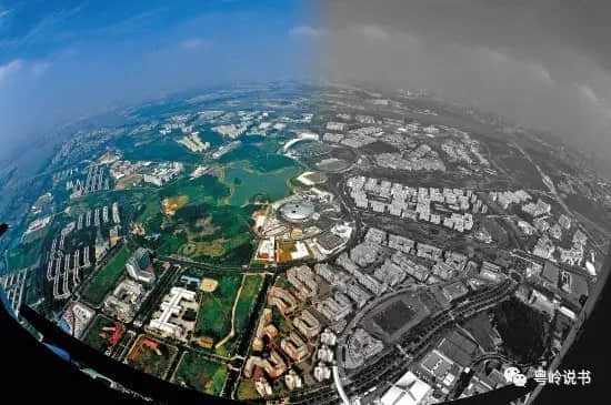 粤岭讲故事||失落在大学里的大学牌坊