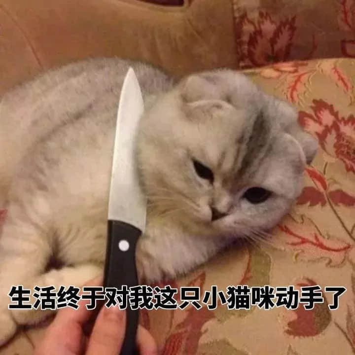 一条职场咸鱼的自我修养 一条职场咸鱼的自我修养