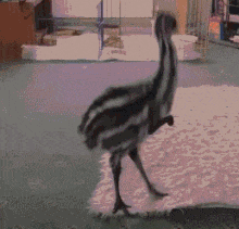 广东阿妈打仔兵器谱|唔系祖宗托赖,我点健康长大! 广东阿妈打仔兵器谱|唔系祖宗托赖,我点健康长大!