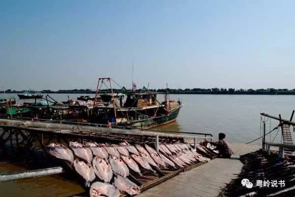 漫步南沙,所到之处都是风景 漫步南沙,所到之处都是风景