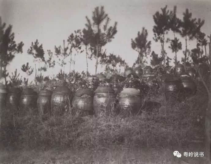 清明节习俗逐个数 清明节习俗逐个数