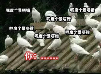 坐实了,我是万年一遇的天煞孤星 坐实了,我是万年一遇的天煞孤星