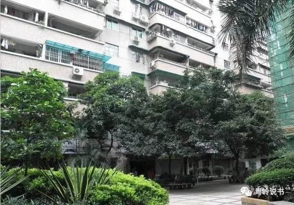 粤岭讲故事||中山七路有怪石 粤岭讲故事||中山七路有怪石