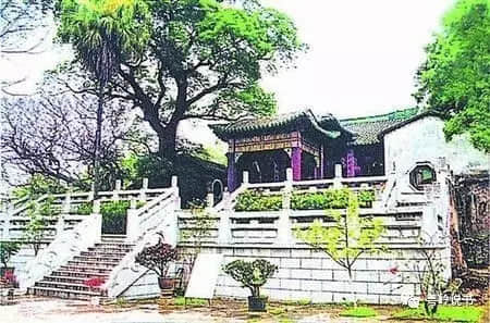 粤岭讲故事||下渡头村的杨孚井 粤岭讲故事||下渡头村的杨孚井