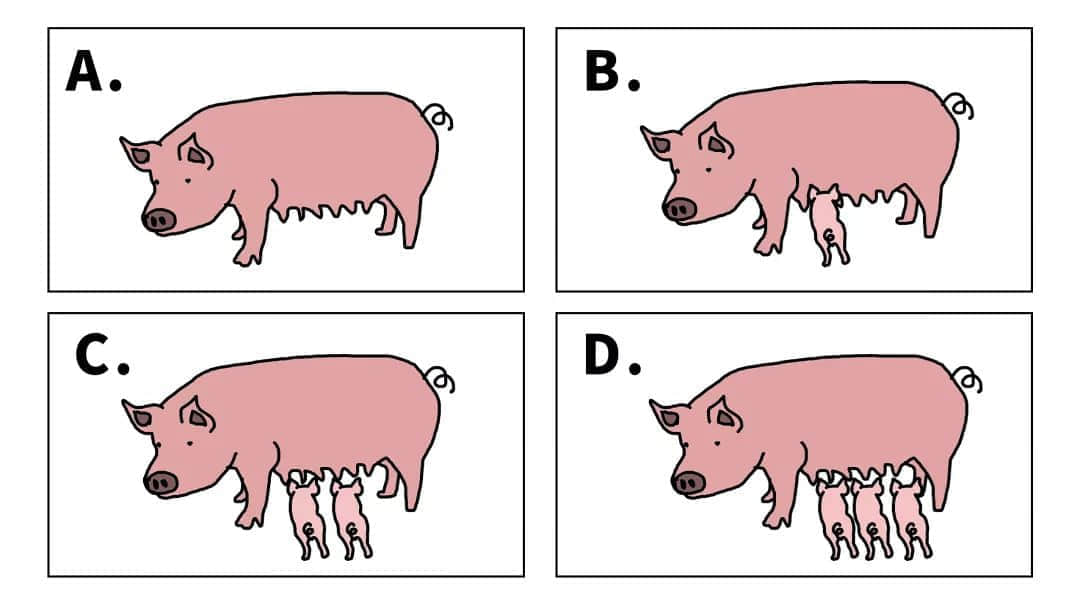2018年当代广东人生育测试卷,你今日生咗未? 2018年当代广东人生育测试卷,你今日生咗未?