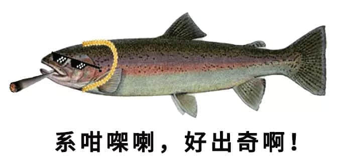 2018年当代广东人生育测试卷,你今日生咗未? 2018年当代广东人生育测试卷,你今日生咗未?