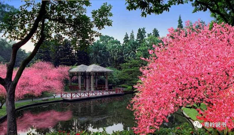 粤岭讲故事||麓湖:皇家园林有仙迹 粤岭讲故事||麓湖:皇家园林有仙迹