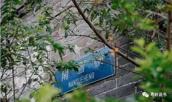 粤岭讲故事||下渡头村的杨孚井 粤岭讲故事||下渡头村的杨孚井