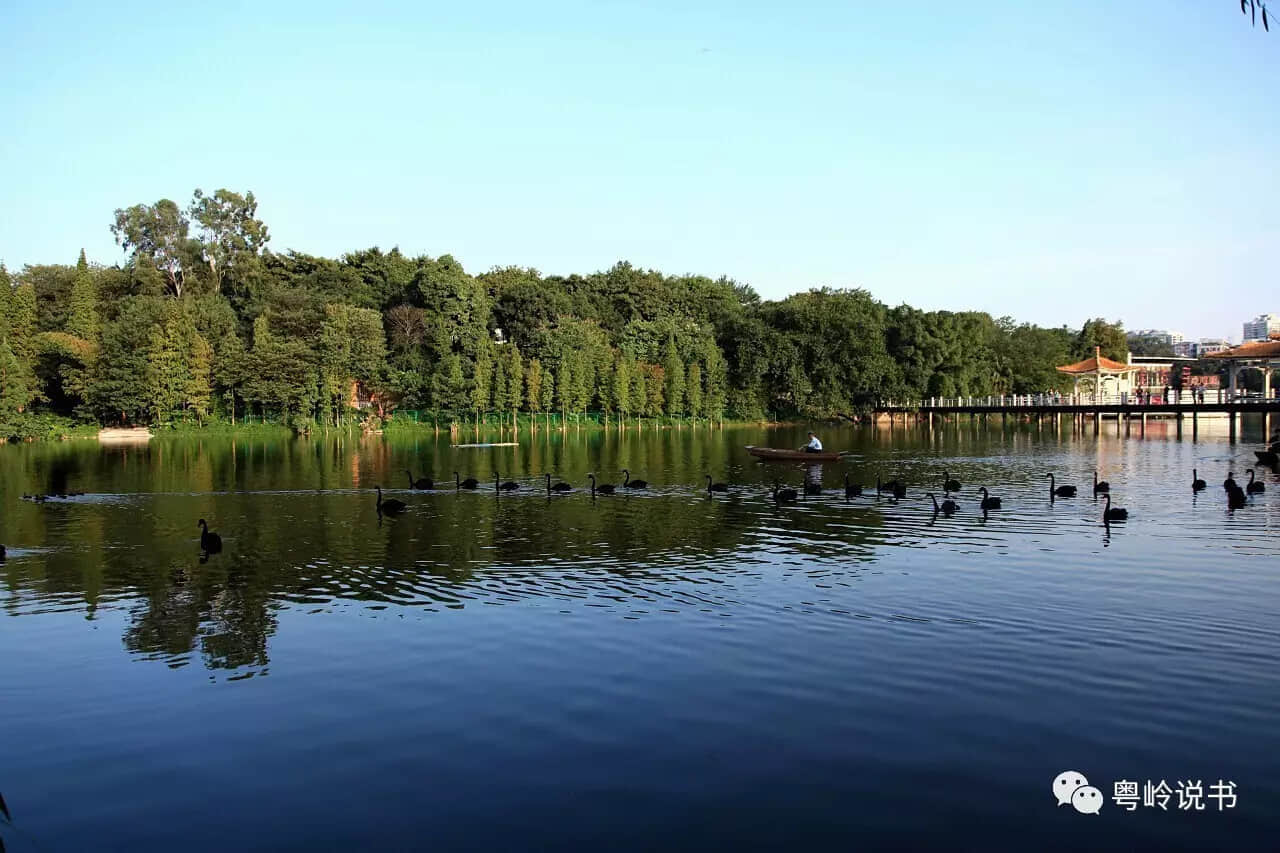 粤岭讲故事||麓湖:皇家园林有仙迹 粤岭讲故事||麓湖:皇家园林有仙迹