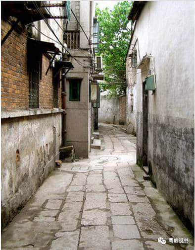 粤岭讲故事||起底耸峦书室 粤岭讲故事||起底耸峦书室