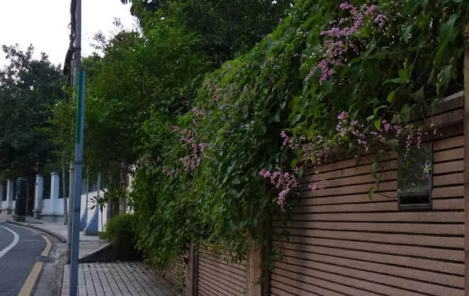 被天河夺去C位后,走到中年的环市东还剩下什么? 被天河夺去C位后,走到中年的环市东还剩下什么?