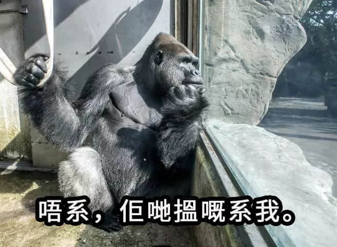 我用咗一分钟,令自己做咗香港小姐冠军! 我用咗一分钟,令自己做咗香港小姐冠军!