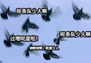 坐实了,我是万年一遇的天煞孤星 坐实了,我是万年一遇的天煞孤星