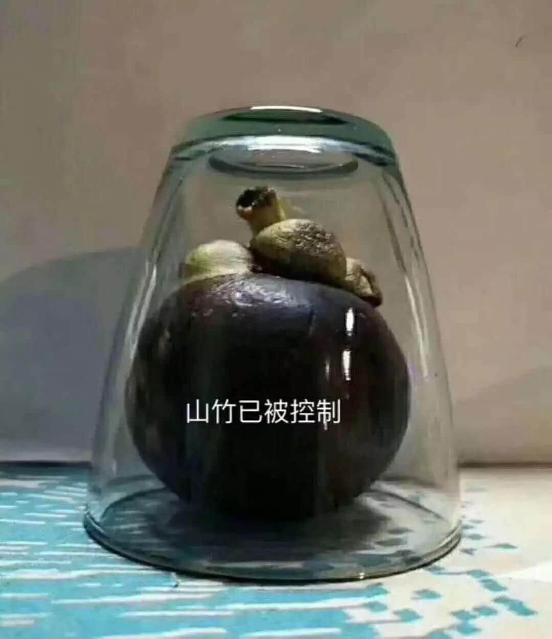 一个台风山竹,令我看清广东人的真面目! 一个台风山竹,令我看清广东人的真面目!