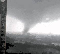 一个台风山竹,令我看清广东人的真面目! 一个台风山竹,令我看清广东人的真面目!