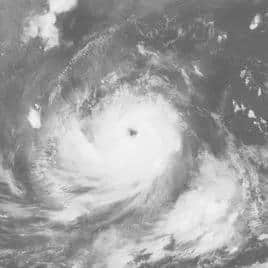 比山竹更可怕的是,知道星期一要准时上班的那一刻! 比山竹更可怕的是,知道星期一要准时上班的那一刻!