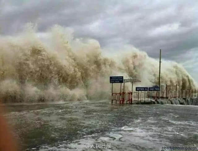 比山竹更可怕的是,知道星期一要准时上班的那一刻! 比山竹更可怕的是,知道星期一要准时上班的那一刻!