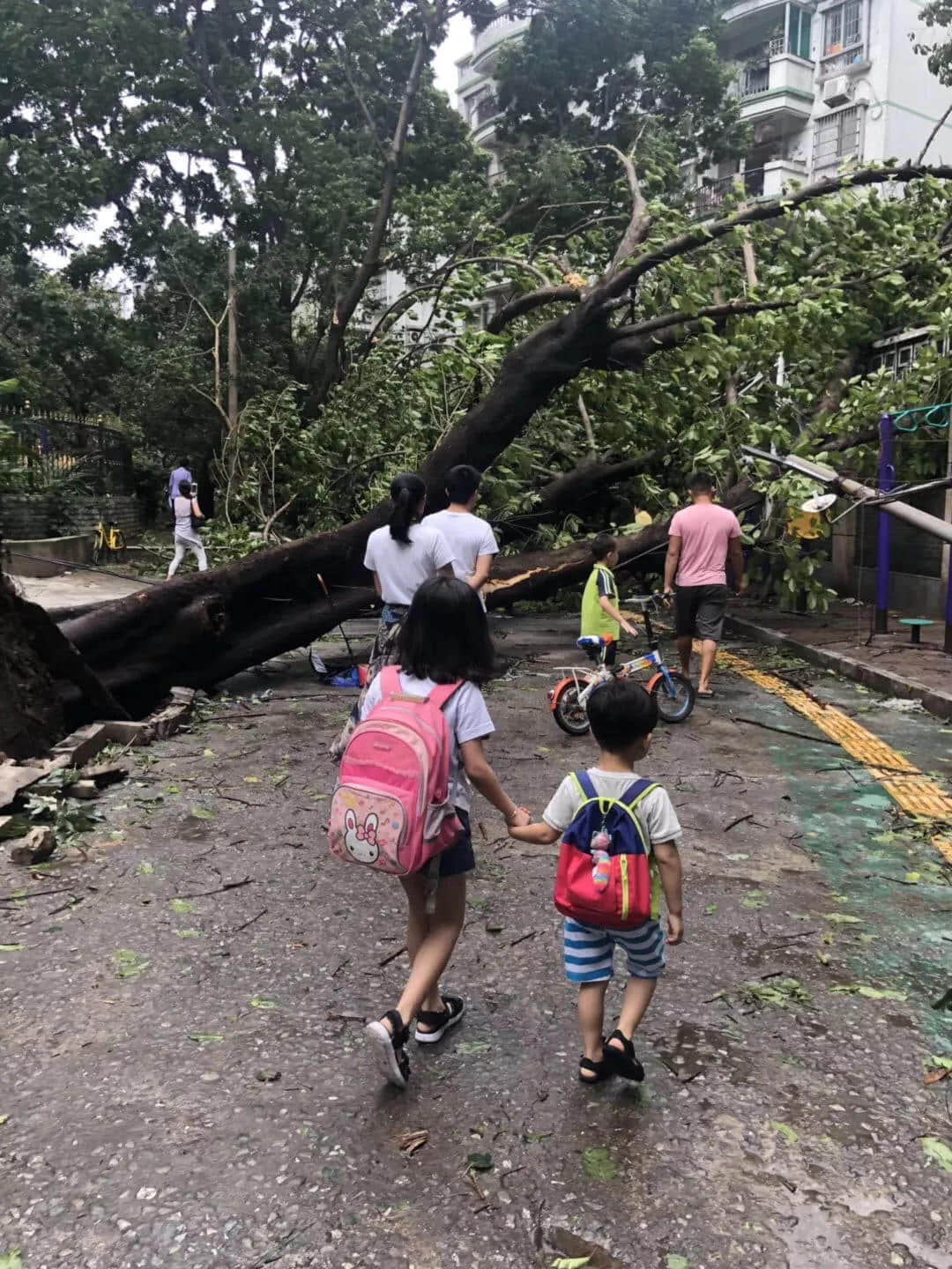 比山竹更可怕的是,知道星期一要准时上班的那一刻! 比山竹更可怕的是,知道星期一要准时上班的那一刻!