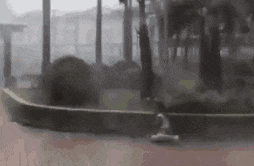 一个台风山竹,令我看清广东人的真面目! 一个台风山竹,令我看清广东人的真面目!