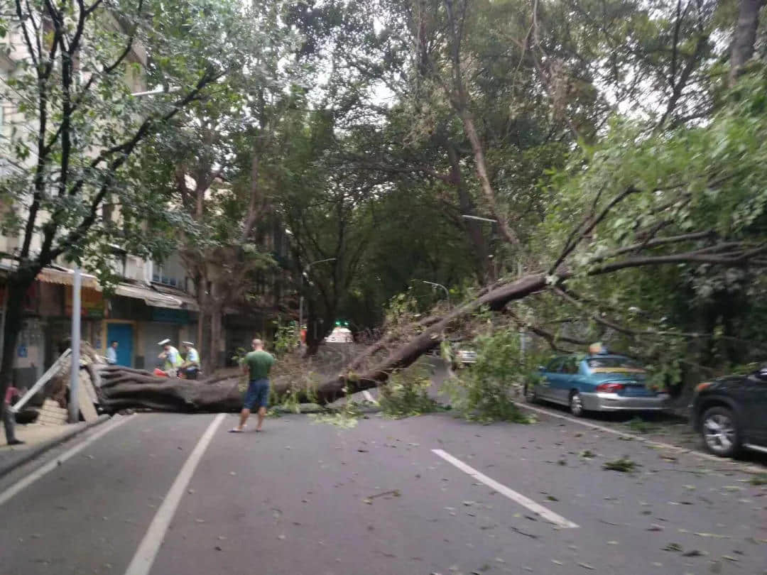 一个台风山竹,令我看清广东人的真面目! 一个台风山竹,令我看清广东人的真面目!