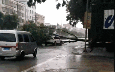 一个台风山竹,令我看清广东人的真面目! 一个台风山竹,令我看清广东人的真面目!