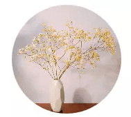 茶楼,广州人的乡愁 茶楼,广州人的乡愁