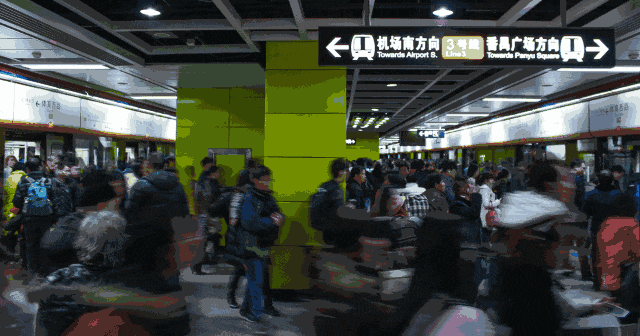 广佛候鸟的双城生活 广佛候鸟的双城生活