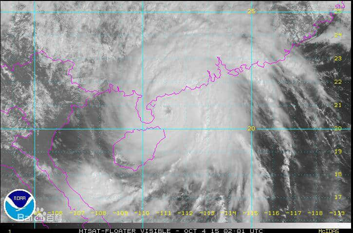 比山竹更可怕的是,知道星期一要准时上班的那一刻! 比山竹更可怕的是,知道星期一要准时上班的那一刻!