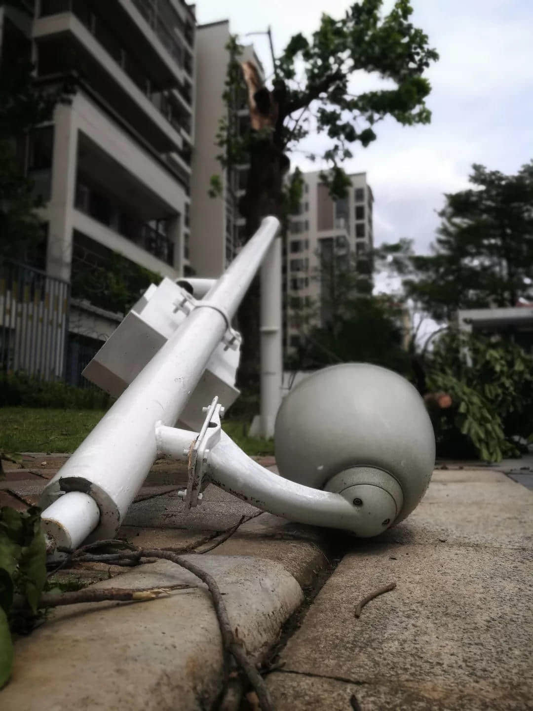 “山竹”过境 “山竹”过境