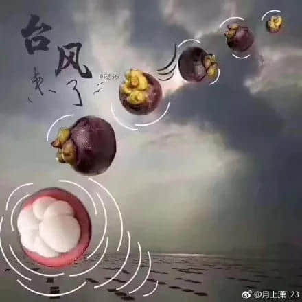 一个台风山竹,令我看清广东人的真面目! 一个台风山竹,令我看清广东人的真面目!