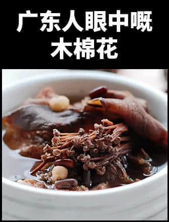 地表最凶残物种：没有感情的广东人