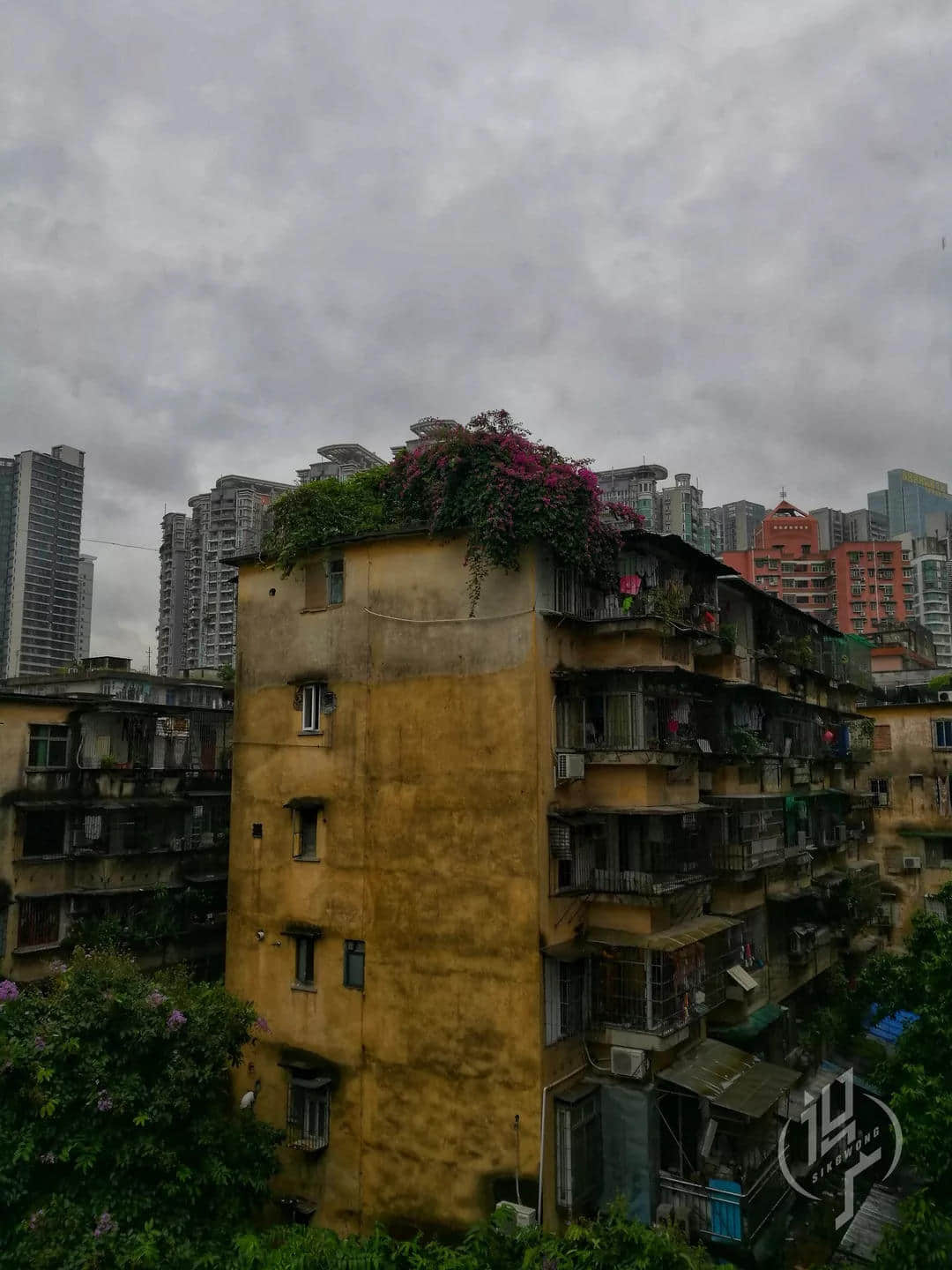 共和村,一代广铁人的归宿 共和村,一代广铁人的归宿