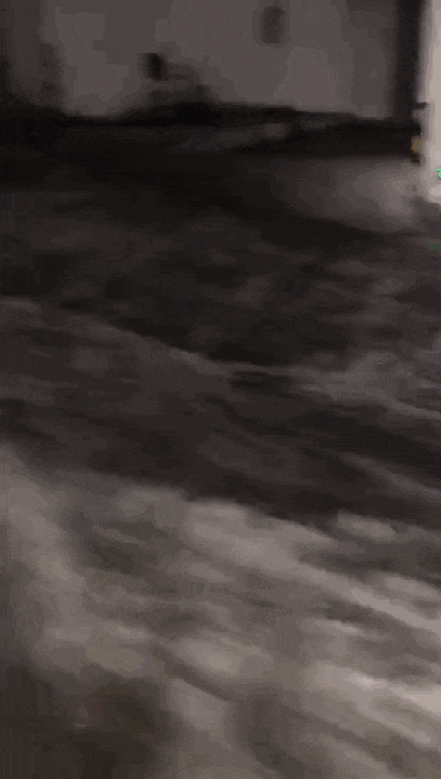 比山竹更可怕的是,知道星期一要准时上班的那一刻! 比山竹更可怕的是,知道星期一要准时上班的那一刻!