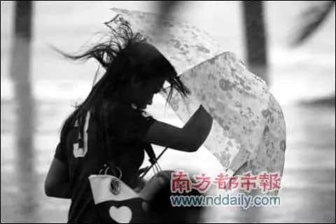 比山竹更可怕的是,知道星期一要准时上班的那一刻! 比山竹更可怕的是,知道星期一要准时上班的那一刻!