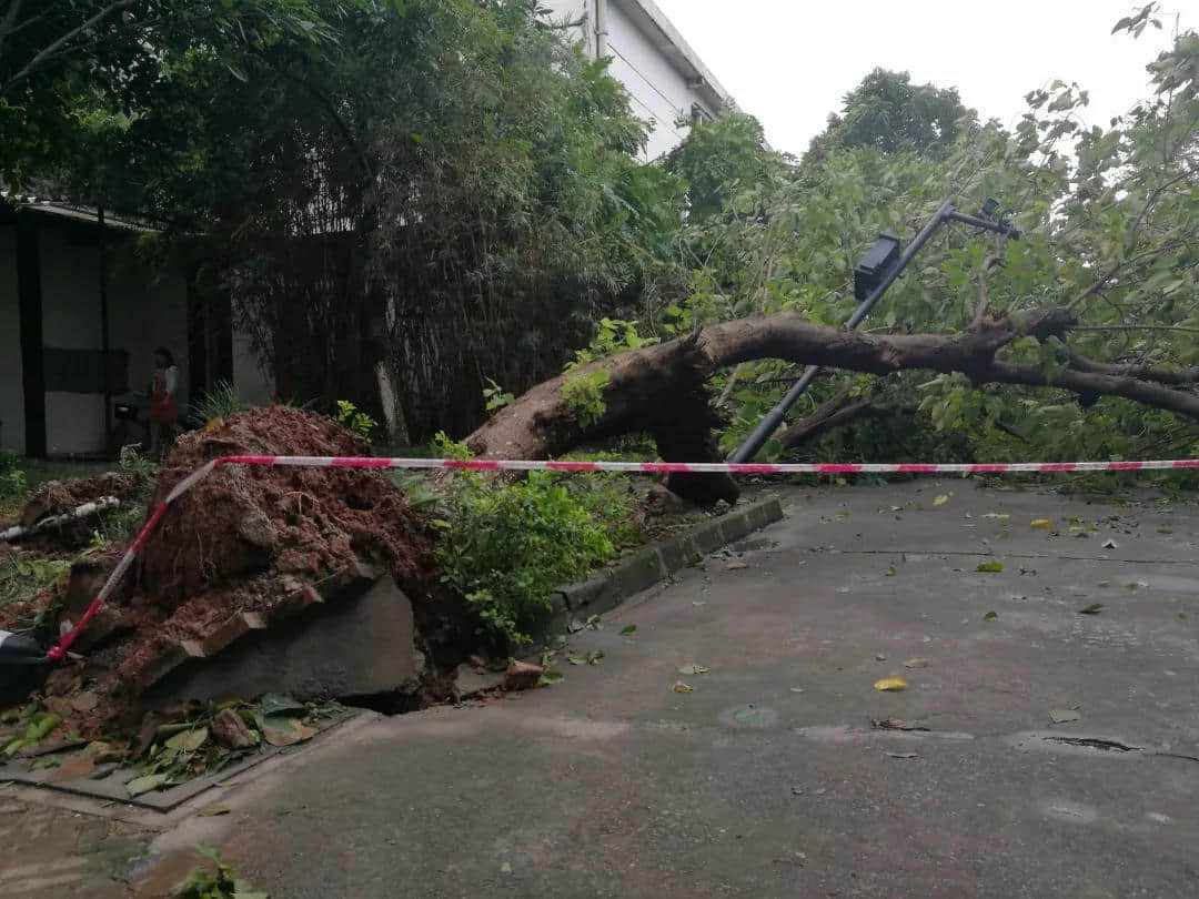 “山竹”过境 “山竹”过境