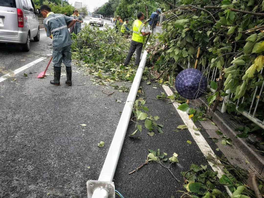 “山竹”过境 “山竹”过境