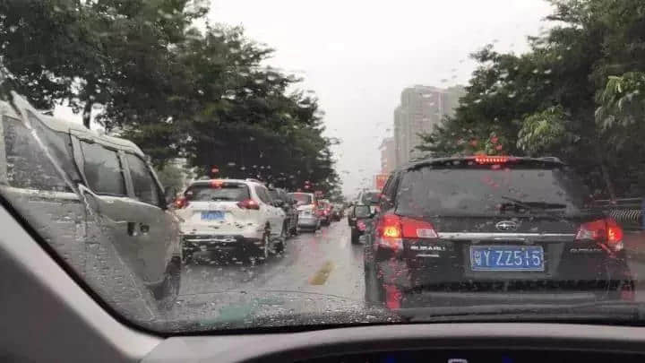 广佛候鸟的双城生活 广佛候鸟的双城生活