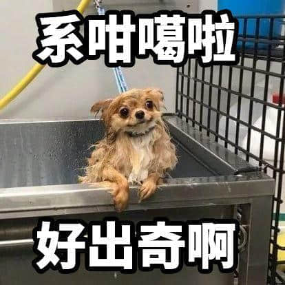 倾偈唔用粤语表情包,点样同广东人社交! 倾偈唔用粤语表情包,点样同广东人社交!