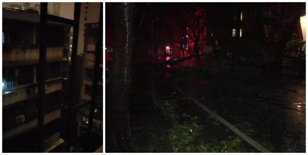 一个台风山竹,令我看清广东人的真面目! 一个台风山竹,令我看清广东人的真面目!