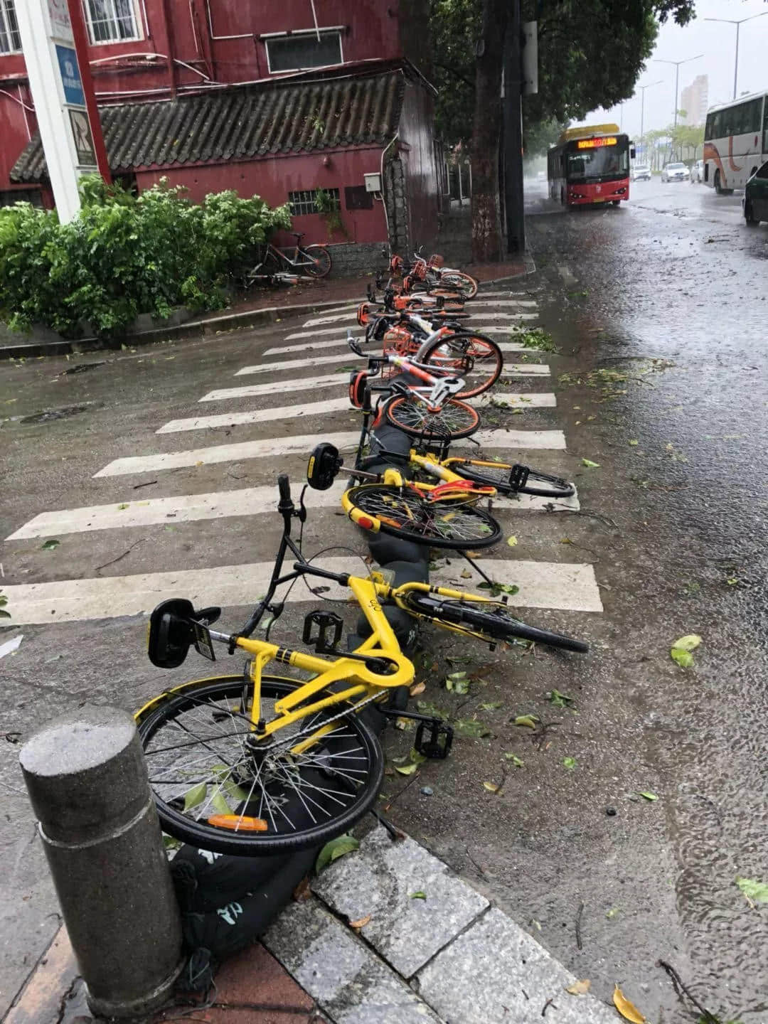 “山竹”过境 “山竹”过境