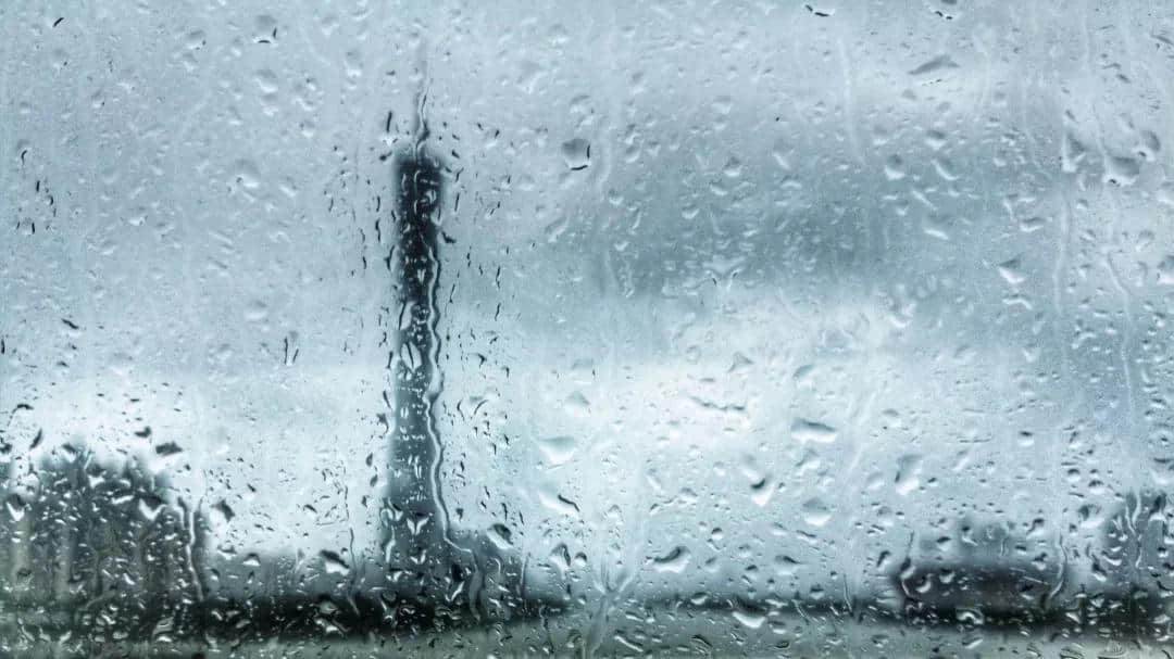 “山竹”过境 “山竹”过境