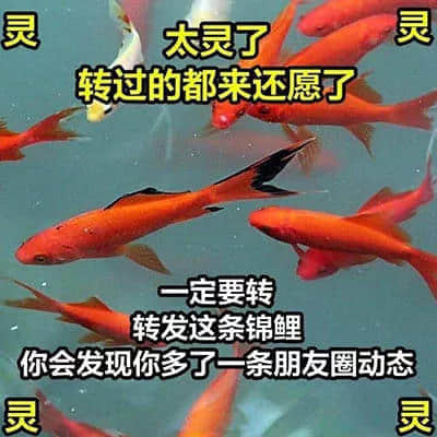 我有病,与钱无缘,对人过敏! 我有病,与钱无缘,对人过敏!