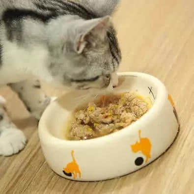 地表最凶残物种：没有感情的广东人