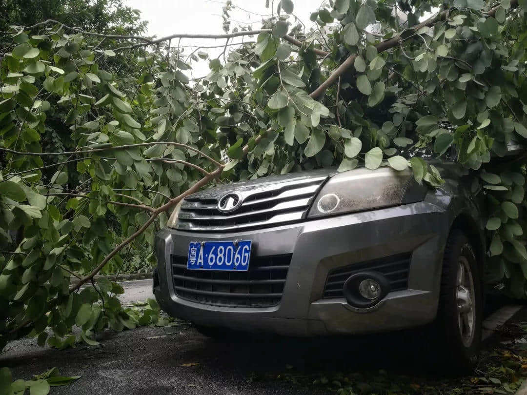 “山竹”过境 “山竹”过境