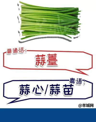系唔系正宗广府人,行个街市就知道晒! 系唔系正宗广府人,行个街市就知道晒!