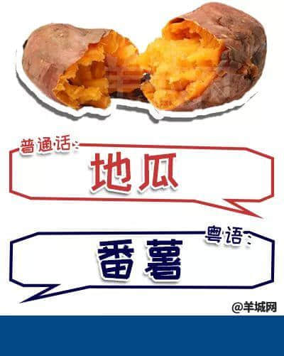 系唔系正宗广府人,行个街市就知道晒! 系唔系正宗广府人,行个街市就知道晒!