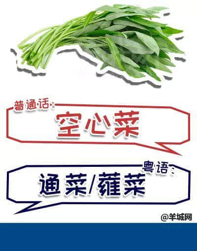 系唔系正宗广府人,行个街市就知道晒! 系唔系正宗广府人,行个街市就知道晒!