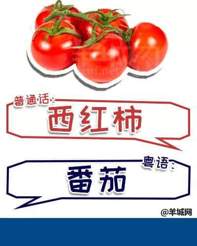 系唔系正宗广府人,行个街市就知道晒! 系唔系正宗广府人,行个街市就知道晒!