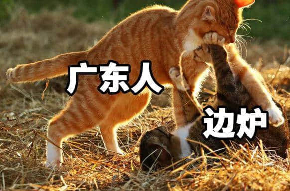 在广东,有一种境界叫清水打边炉 在广东,有一种境界叫清水打边炉